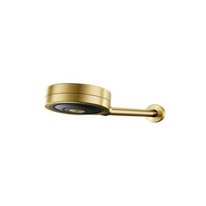 Chuveiro TechnoShower Ouro Escovado 01204872 Docol