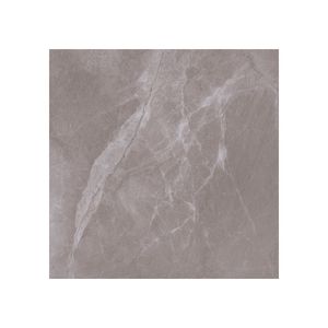 Porcelanato 63 x 63 cm Polido Retificado Fuji 2213-A Delta