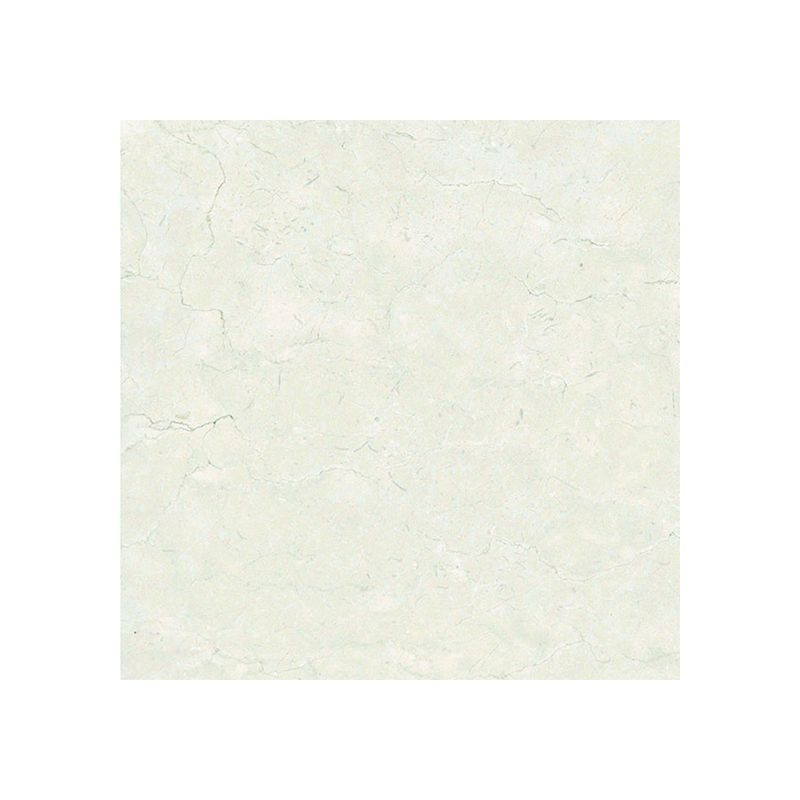 15729
