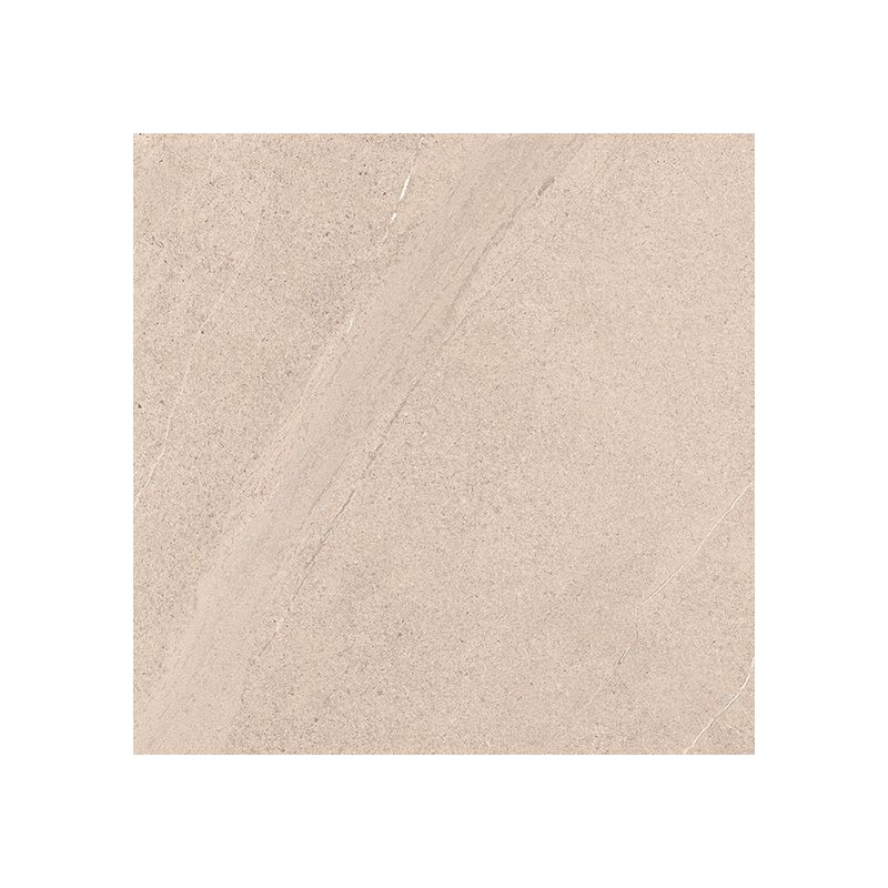 15596