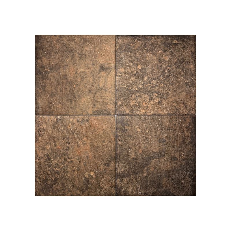 16543.jpg