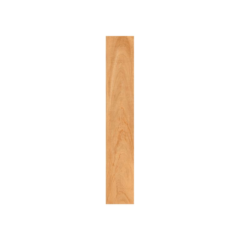 16646